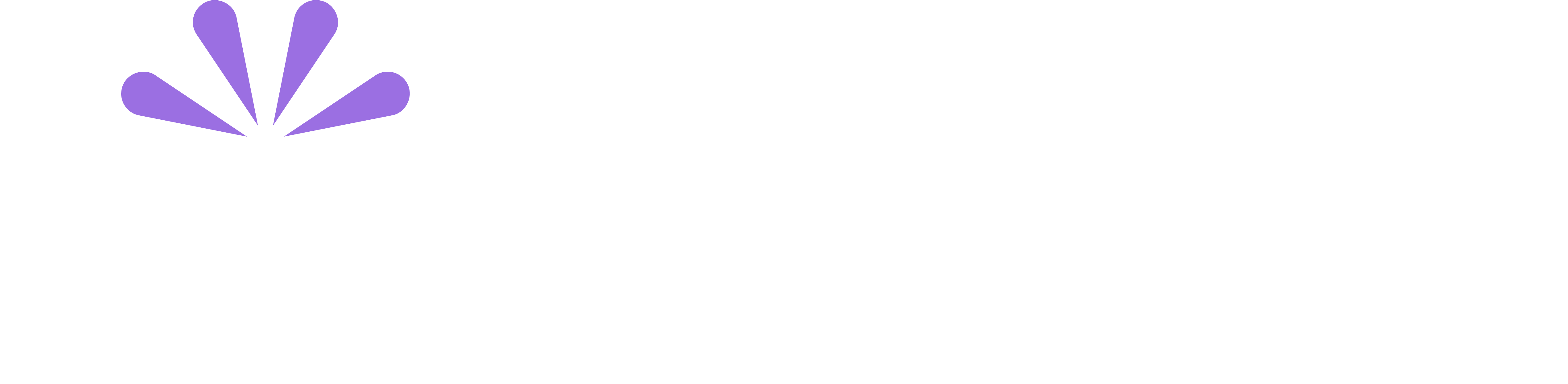 Lucid CPA